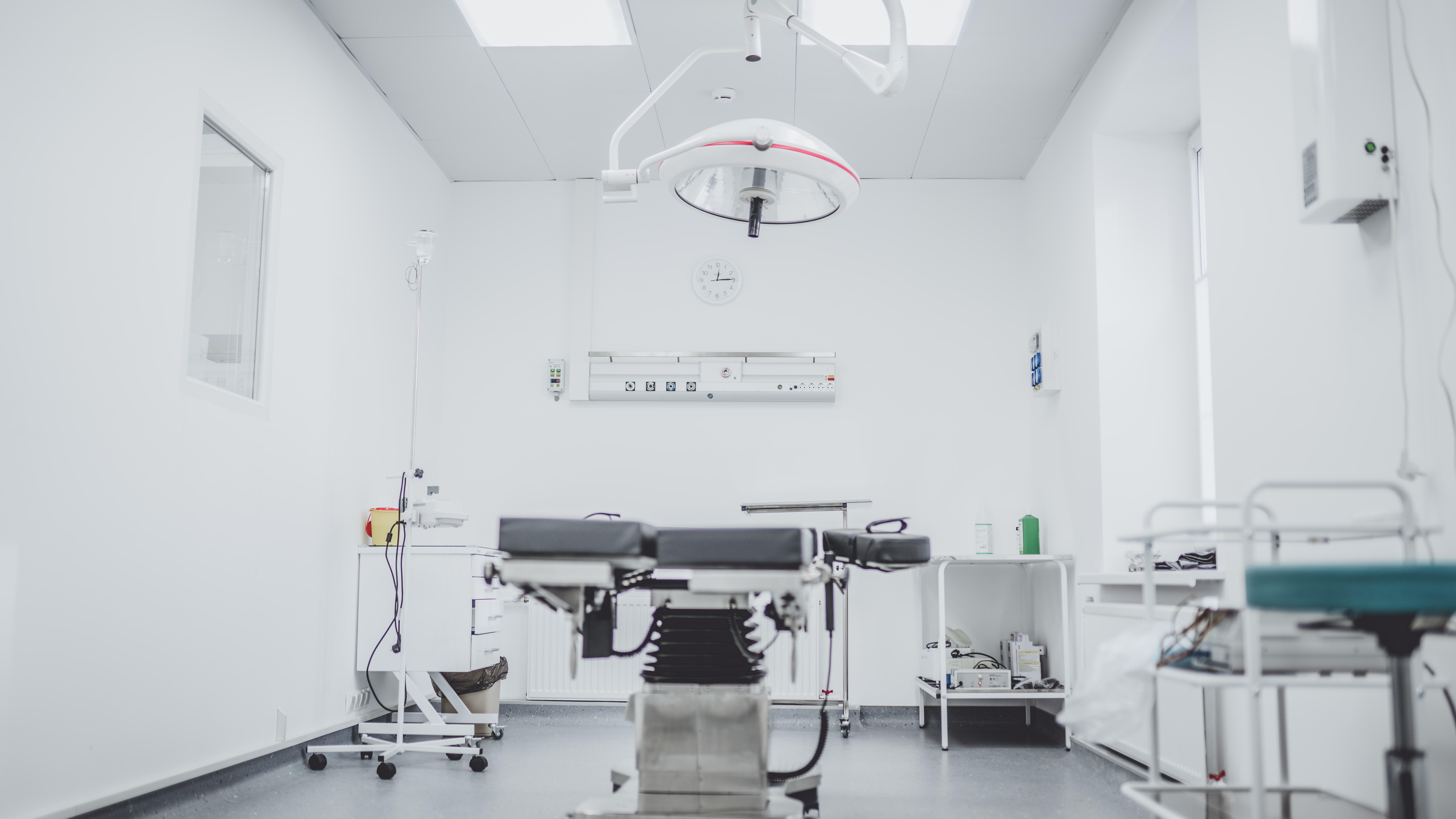 arseny-togulev-DE6rYp1nAho-unsplash arseny-togulev-DE6rYp1nAho-unsplash